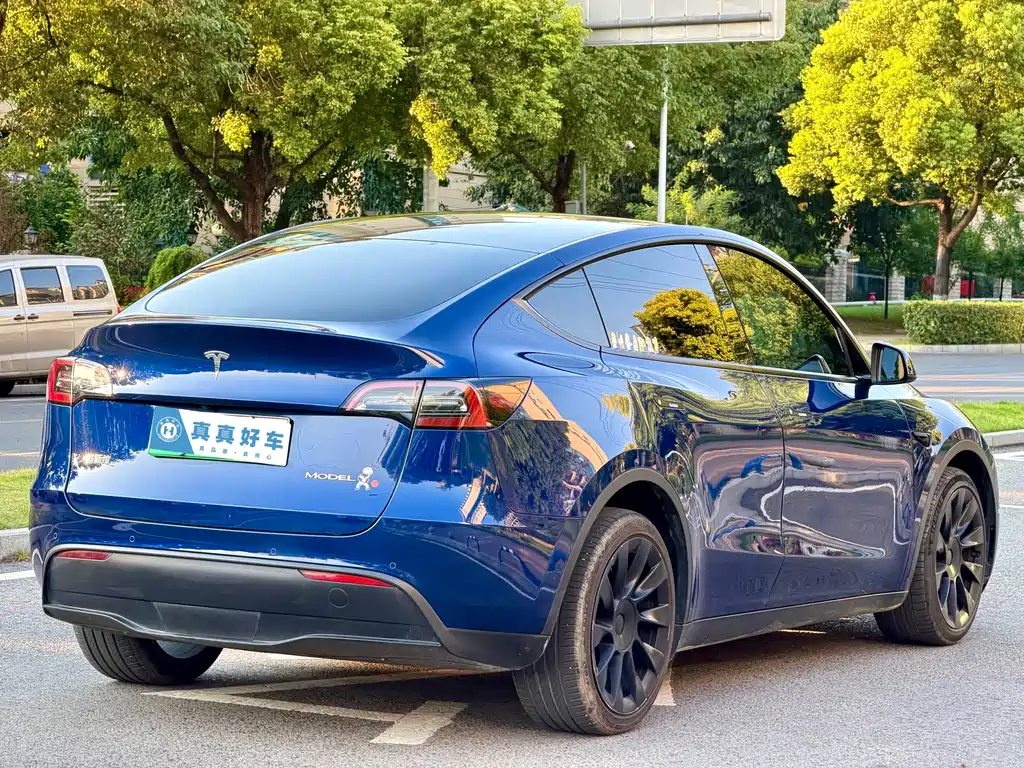 Tesla Model Y — миниатюра 4