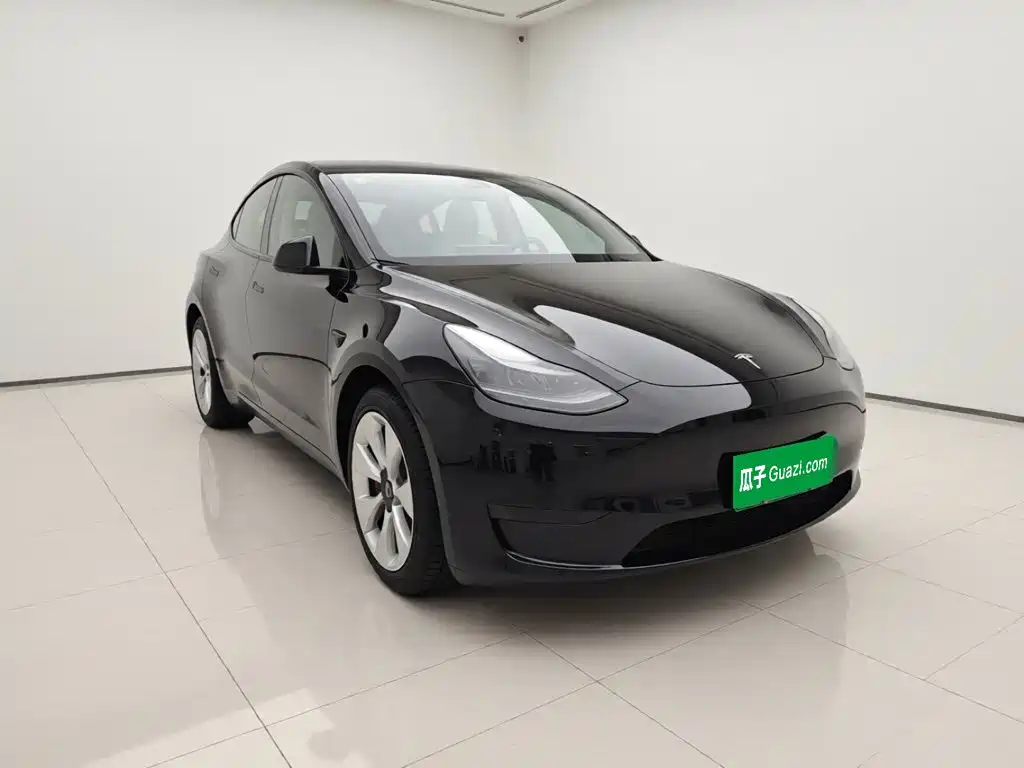 Tesla Model Y — миниатюра 3