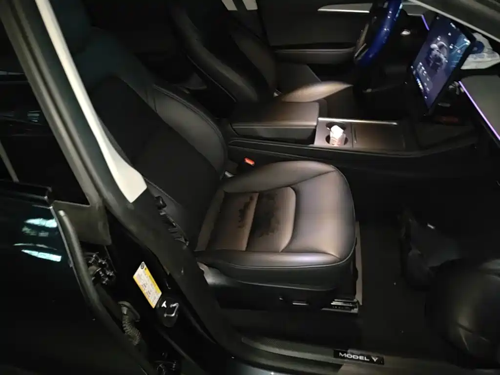 Tesla Model Y — миниатюра 25
