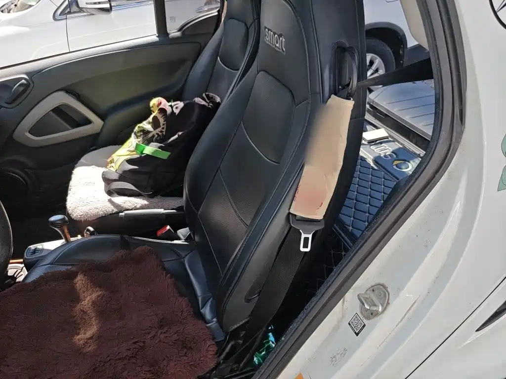 smart Smart Fortwo — миниатюра 13