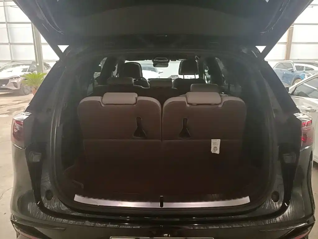 BYD Tang New Energy — миниатюра 19