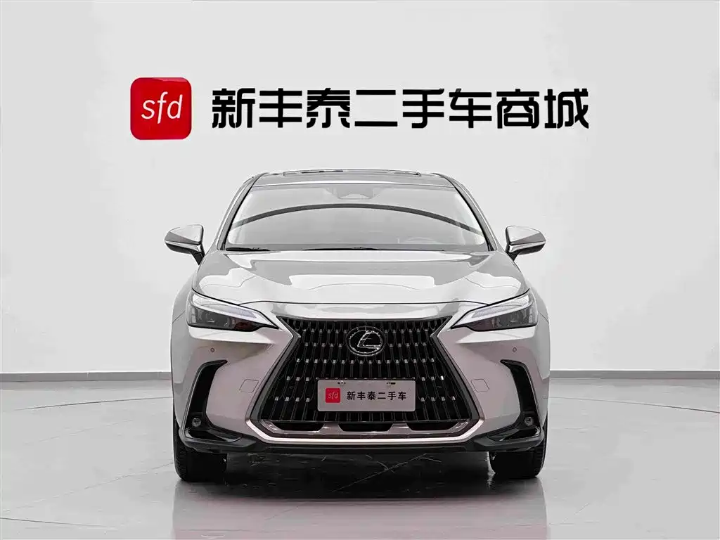 Lexus NX — миниатюра 2