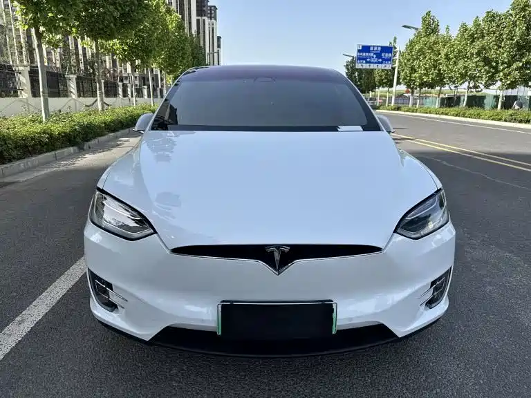 Tesla Model X 2019