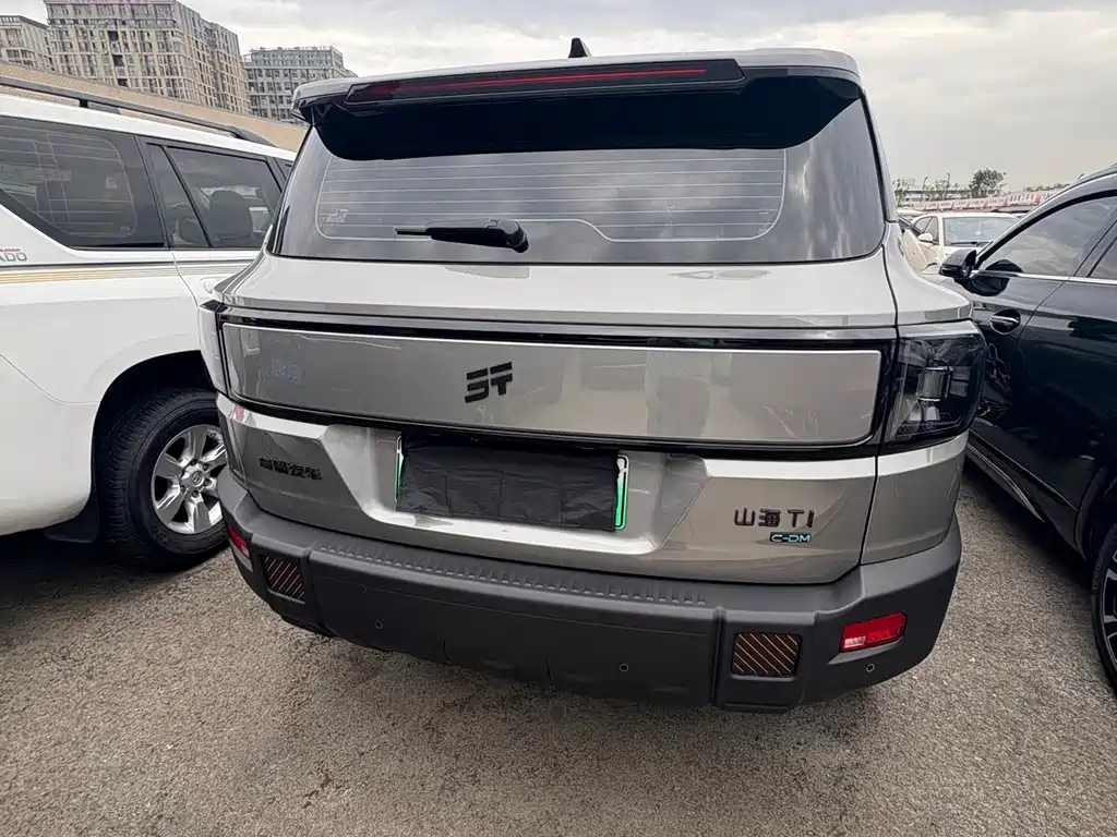 Shanhai Shanhai T1 — миниатюра 17