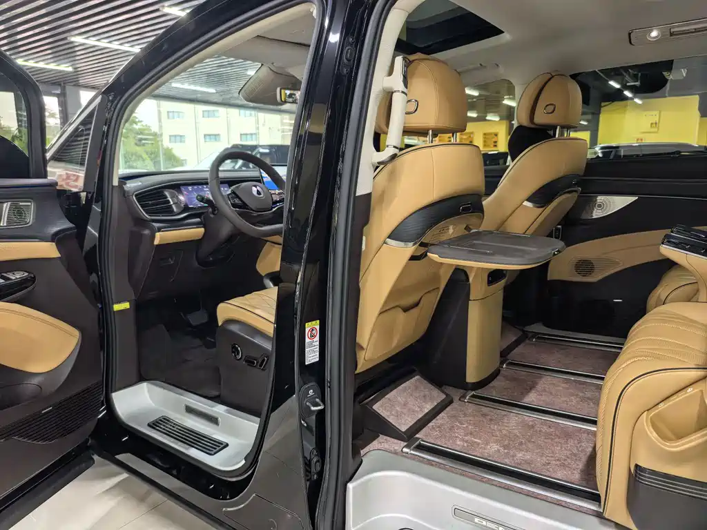 Denza Denza D9 — миниатюра 5