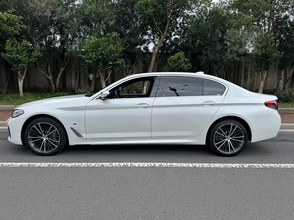 BMW 5 Series — миниатюра 3