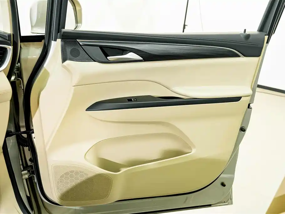 Buick GL8 — миниатюра 16