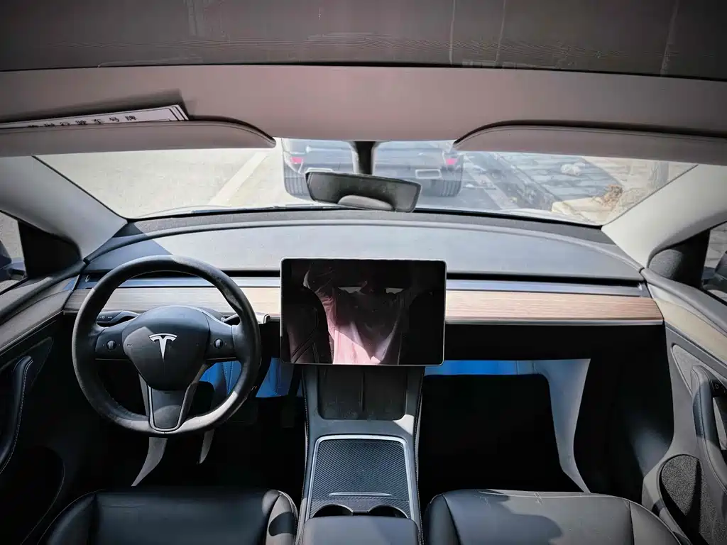 Tesla Model Y — миниатюра 6