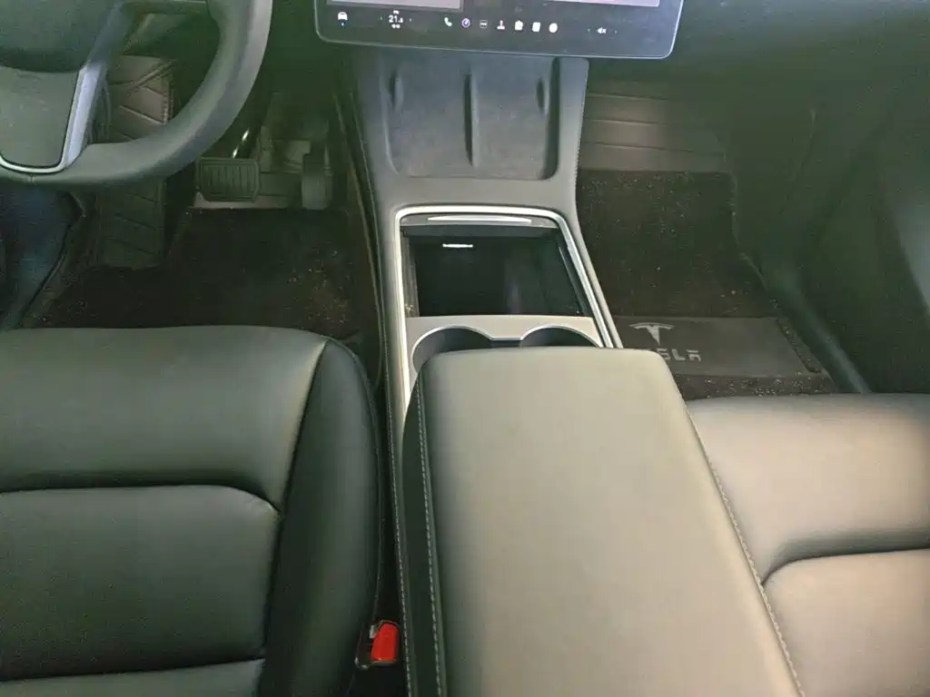 Tesla Model Y — миниатюра 14