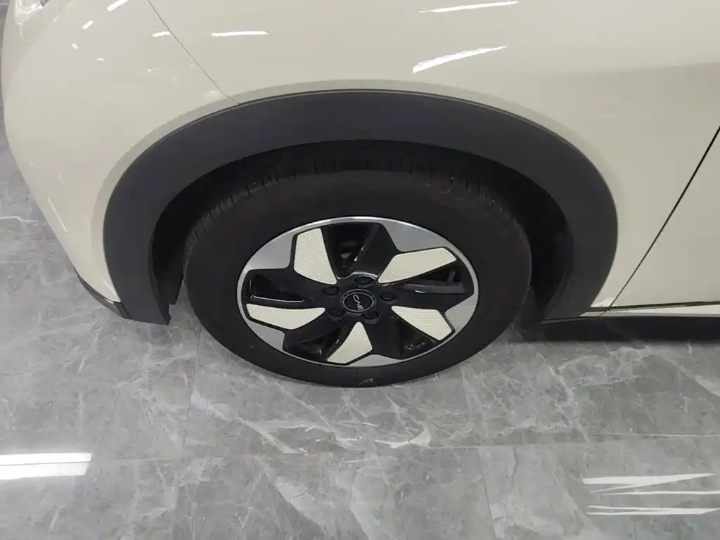 BYD Dolphin — миниатюра 23