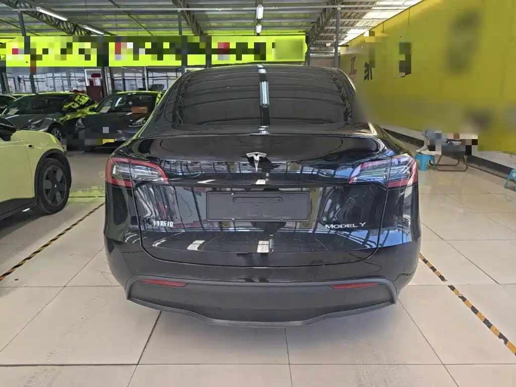 Tesla Model Y — миниатюра 6