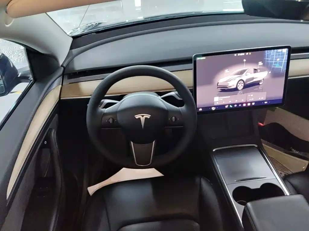 Tesla Model Y — миниатюра 11