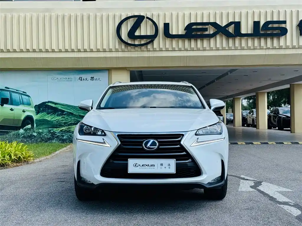 Lexus NX — миниатюра 8