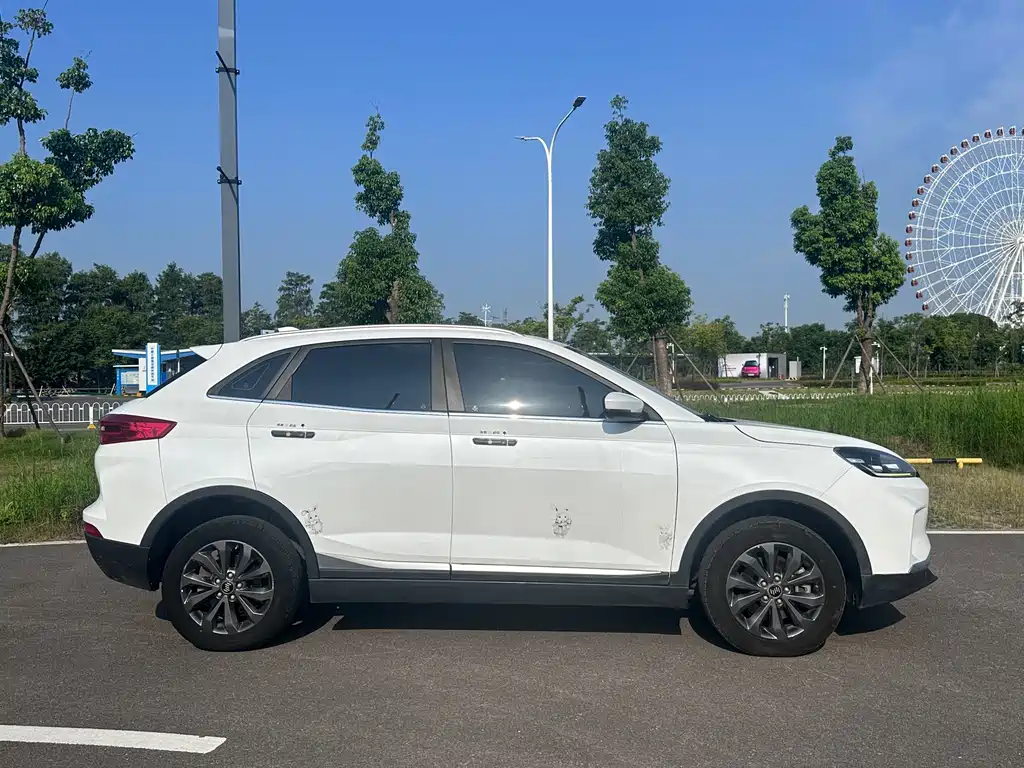 WM Motor EX5 — миниатюра 12