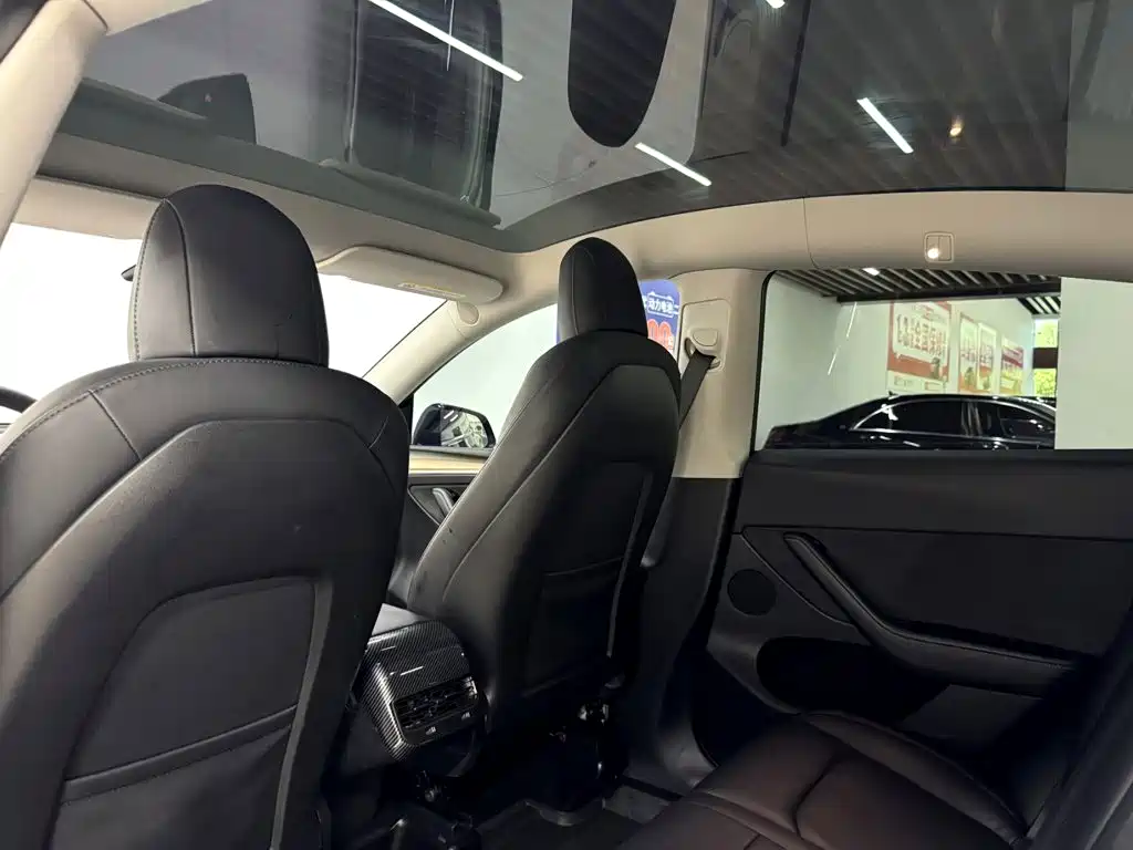 Tesla Model Y — миниатюра 17