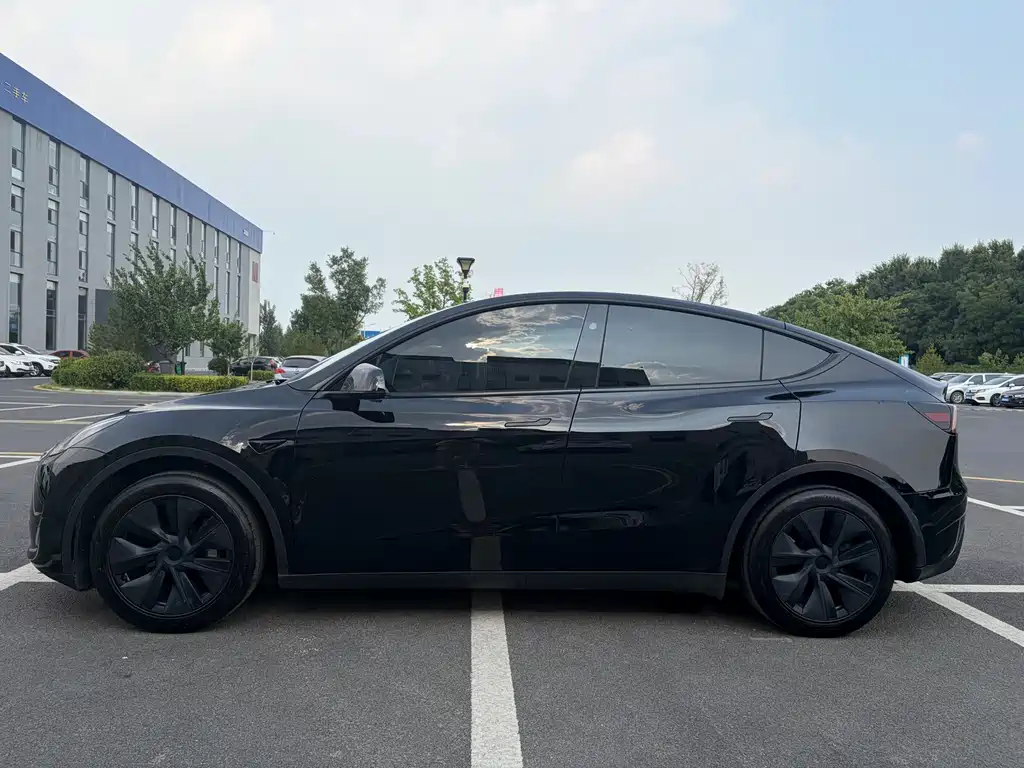 Tesla Model Y — миниатюра 3