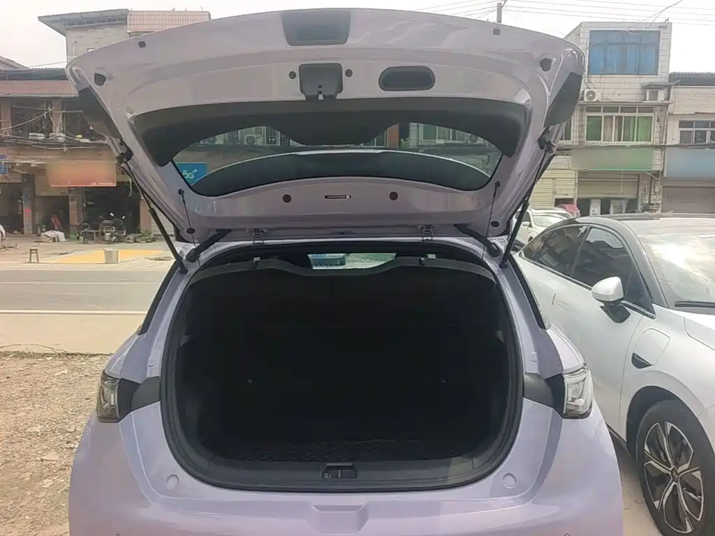 BYD Dolphin — миниатюра 19