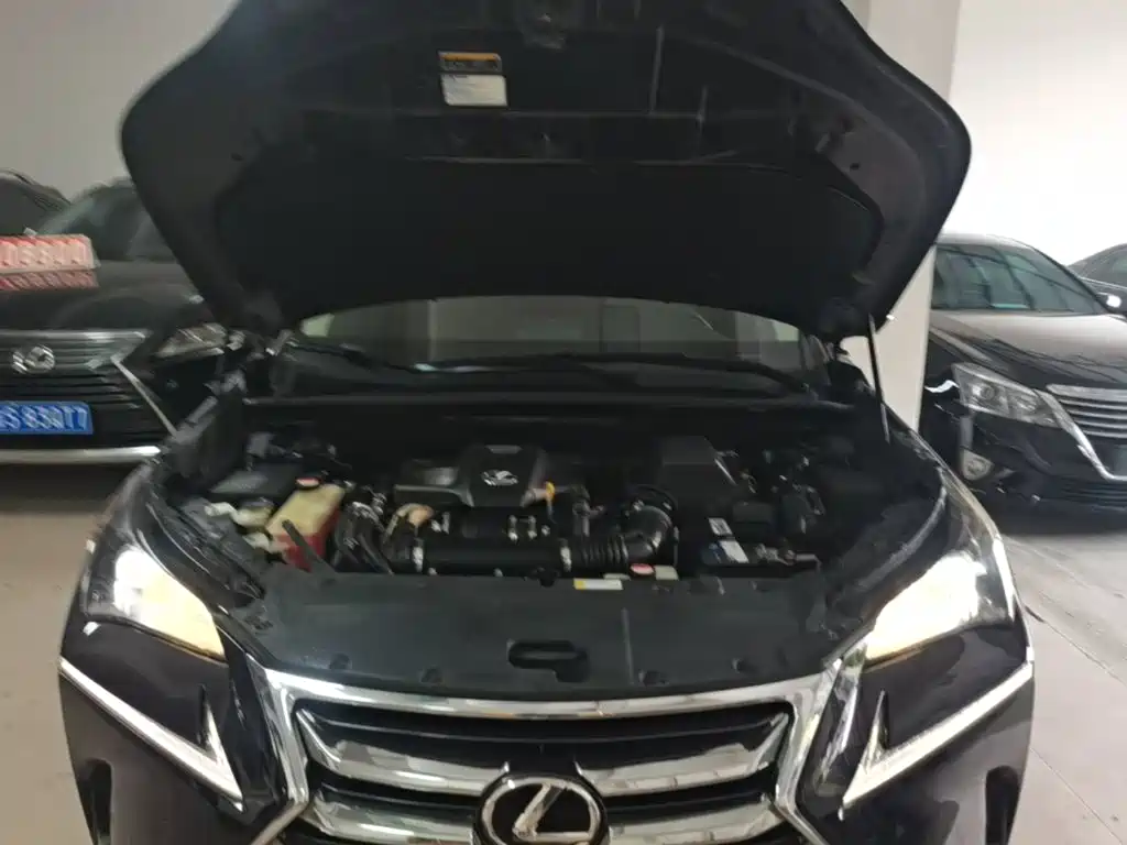 Lexus NX — миниатюра 20