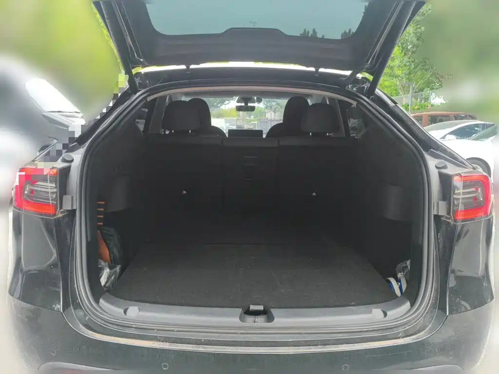 Tesla Model Y — миниатюра 10