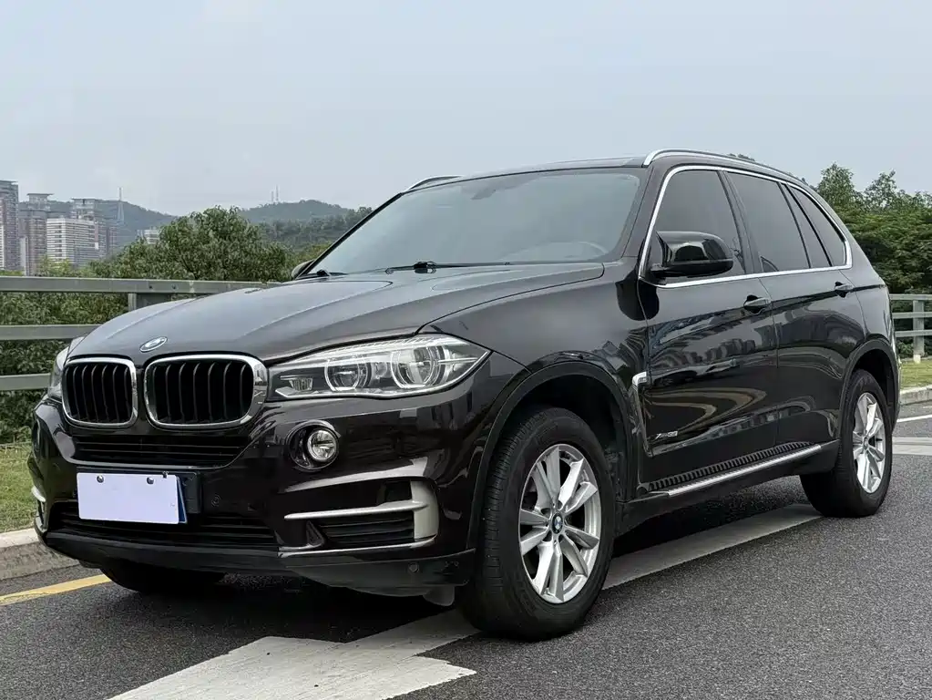 BMW X5 (Import) — миниатюра 2