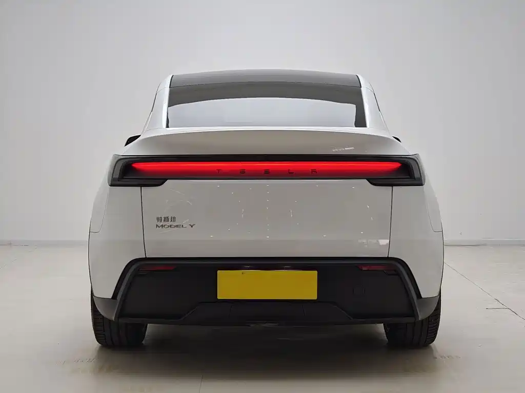 Tesla Model Y — миниатюра 10