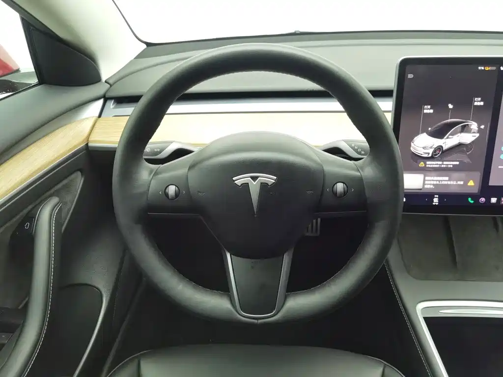 Tesla Model 3 — миниатюра 11
