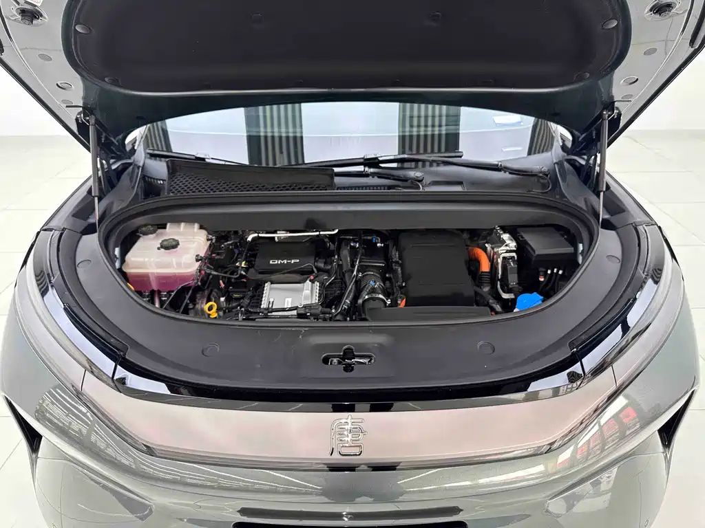 BYD Tang L L 2025 DM 200KM Flagship