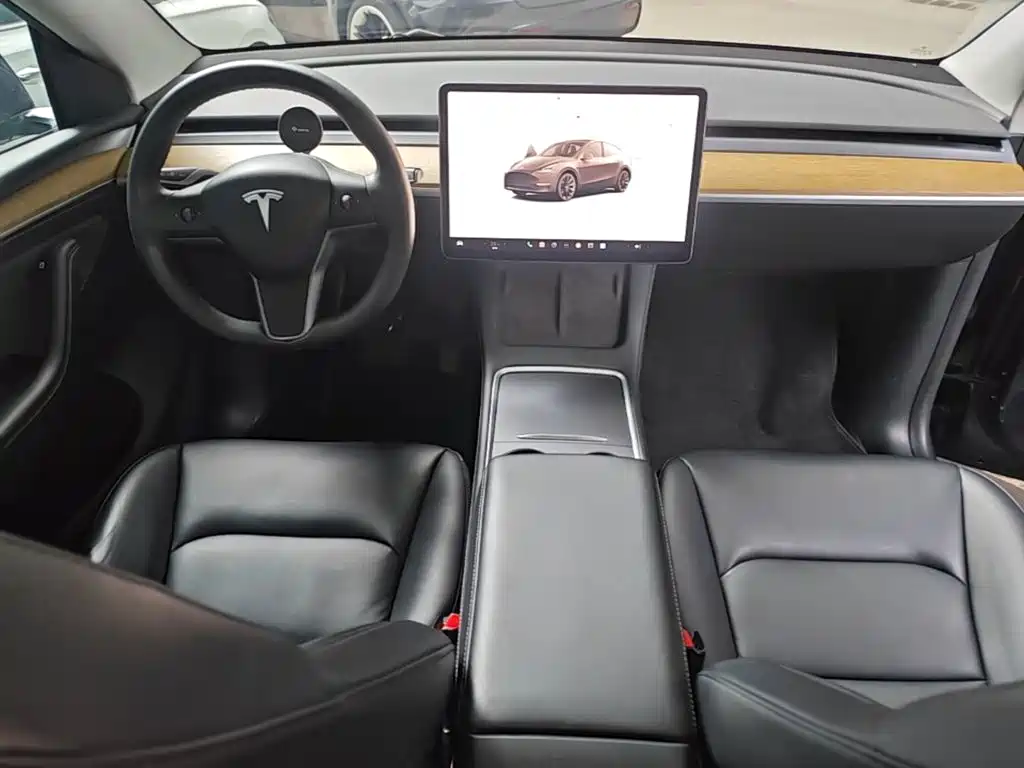 Tesla Model Y — миниатюра 10