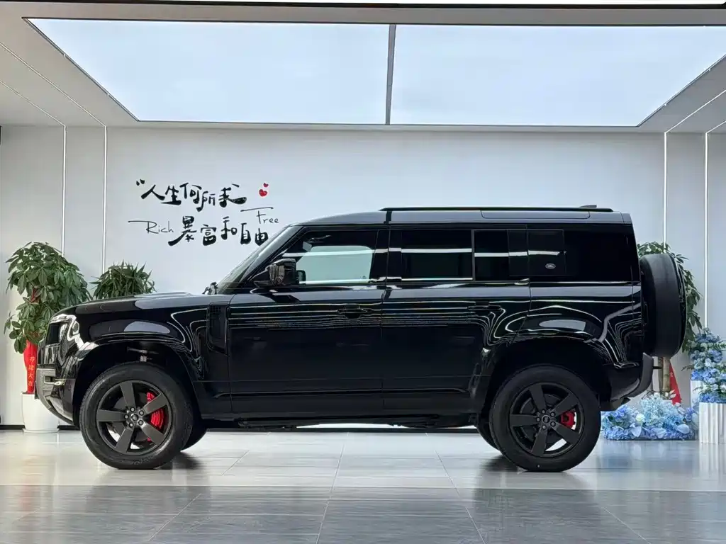 Land Rover Defender — миниатюра 21
