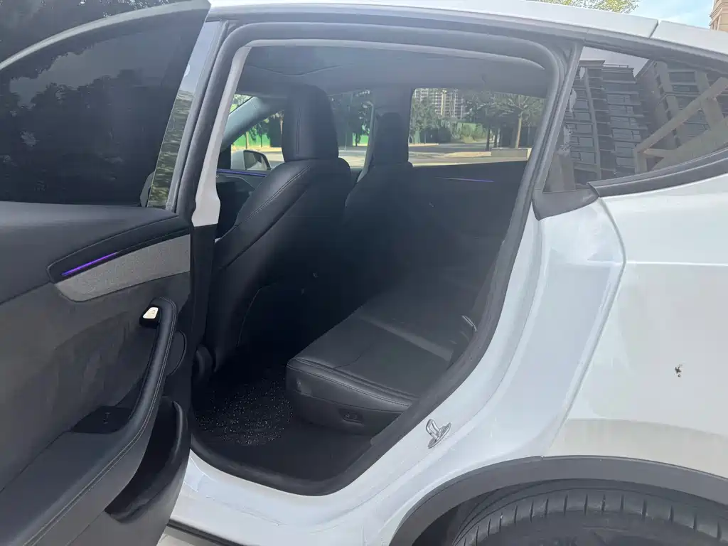 Tesla Model Y — миниатюра 5