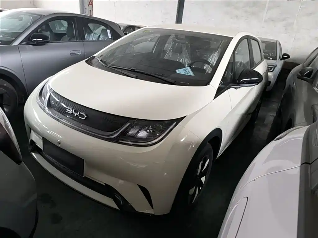 BYD Dolphin 2025 420km Freedom