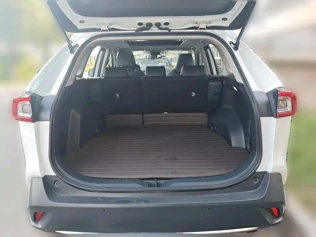 Toyota Wildlander — миниатюра 15