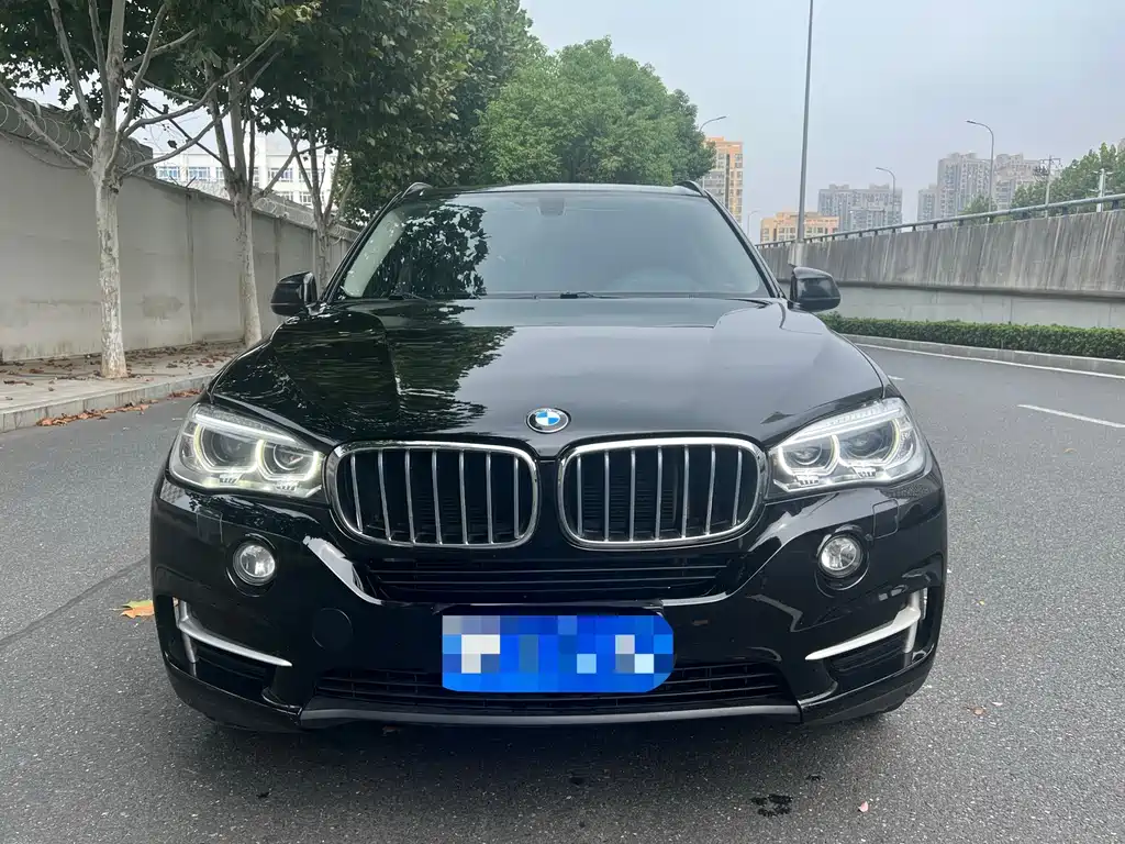 BMW X5 (Import) — миниатюра 2