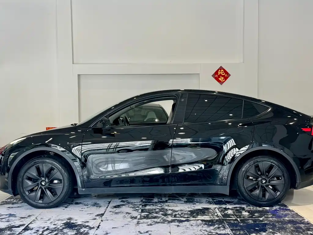 Tesla Model Y — миниатюра 7