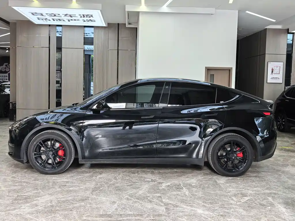 Tesla Model Y — миниатюра 4
