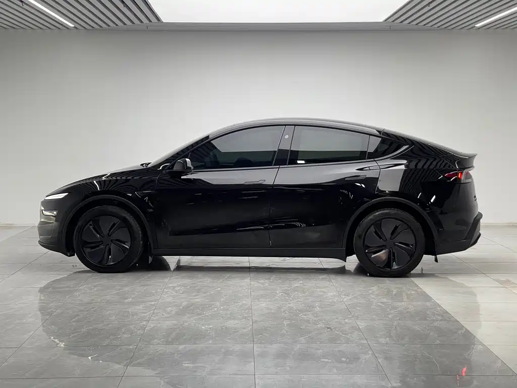 Tesla Model Y — миниатюра 7