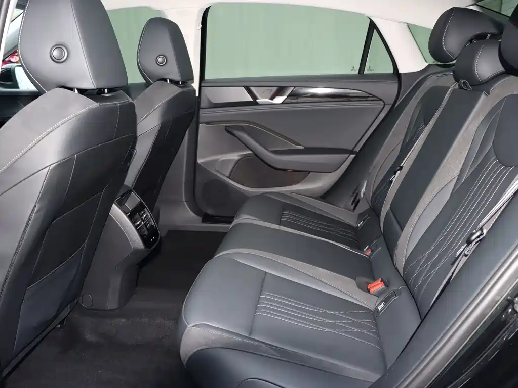Volkswagen Magotan 380TSI DSG Premium Edition, фото 15