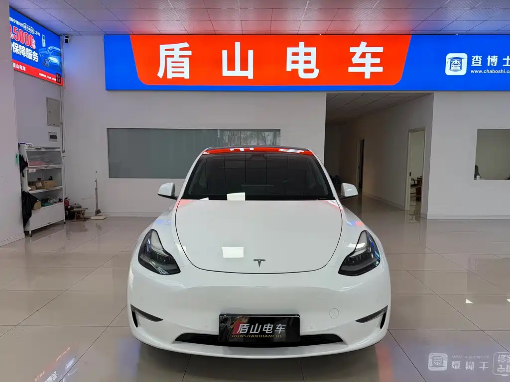 Tesla Model Y — миниатюра 2