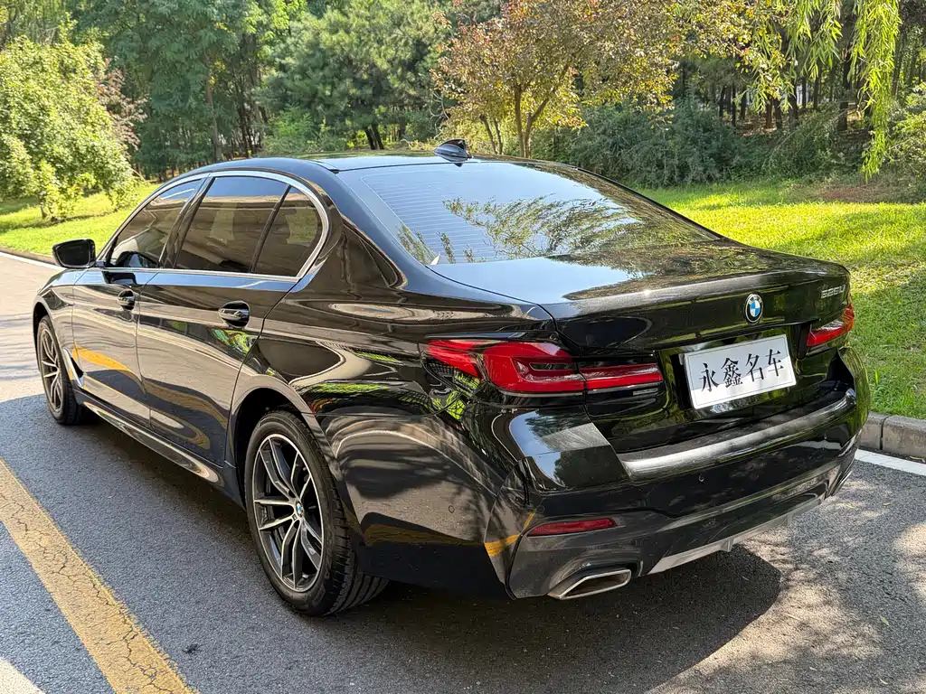 BMW 5 Series 5 2022 525Li Luxury