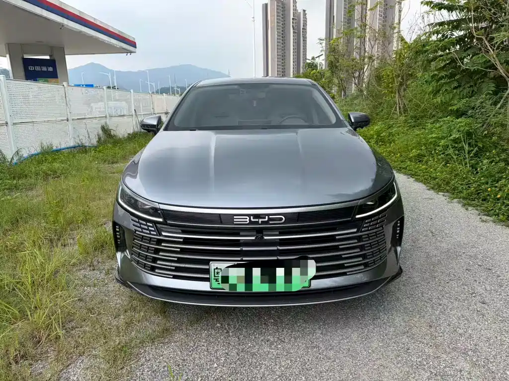BYD Destroyer 05 2024 DM-i 55KM Luxury