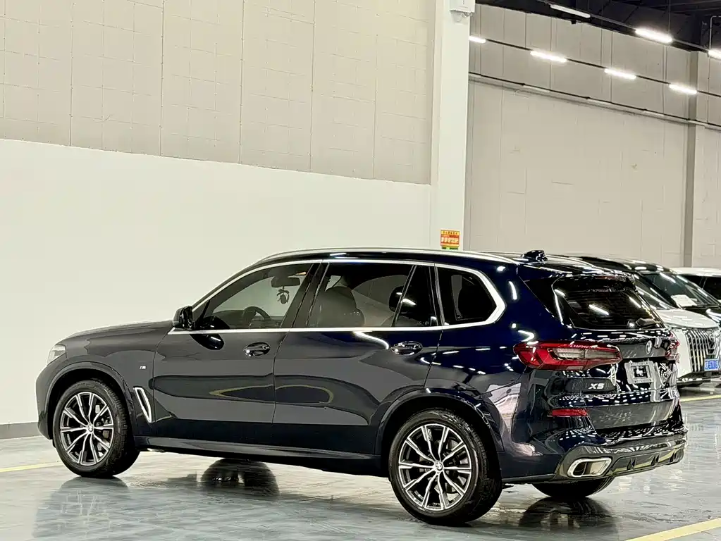 BMW X5 — миниатюра 12