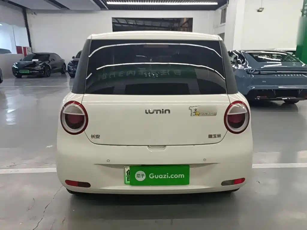 Qiyuan Lumin — миниатюра 6
