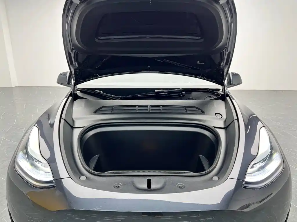 Tesla Model Y — миниатюра 25