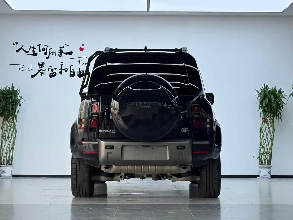 Land Rover Defender — миниатюра 20