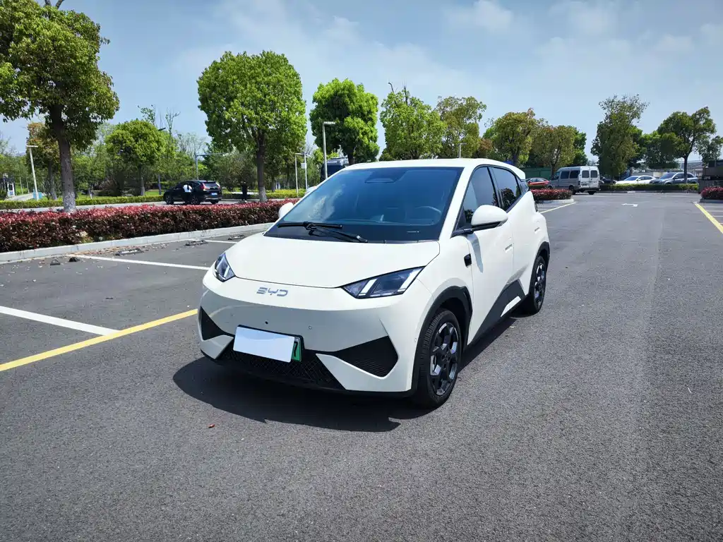 Byd Seagull 2025