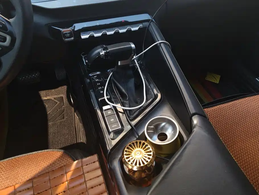 Baojun Valli — миниатюра 16