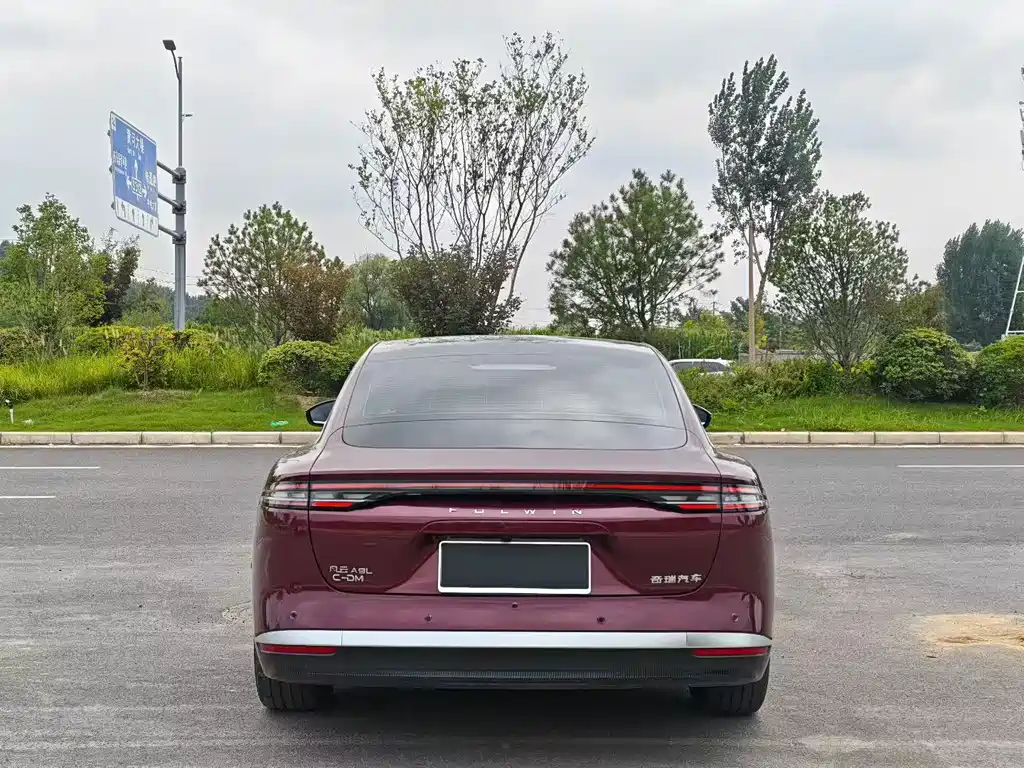Fulwin Fengyun A9L — миниатюра 8