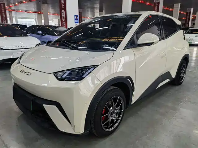 BYD 海鸥