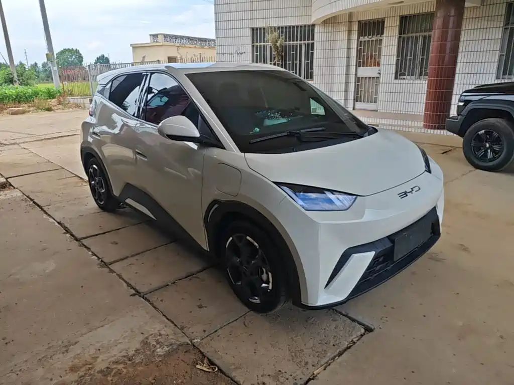 BYD Seagull 2025 305km Freedom