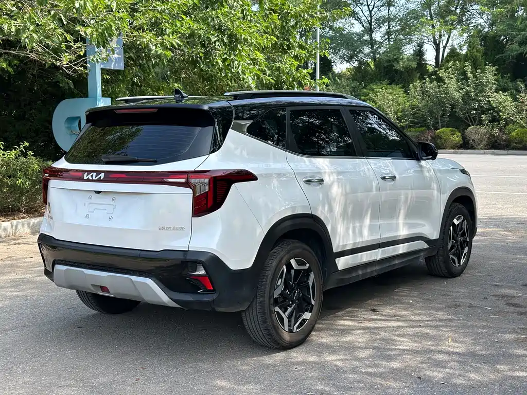 Kia Seltos — миниатюра 12